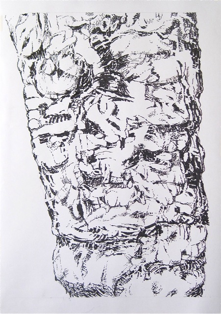 Large Bark 1