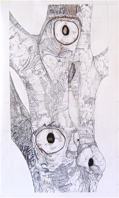 Large Bark 11