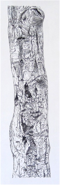 Large Bark 12