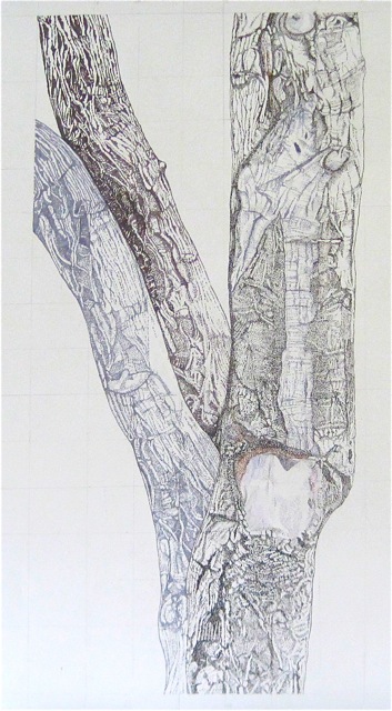 Large Bark 13