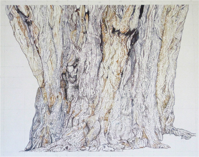 Large Bark 14