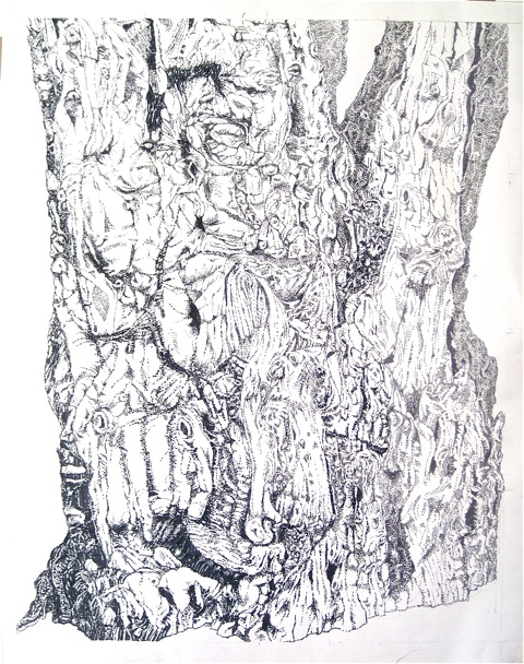Large Bark 2<