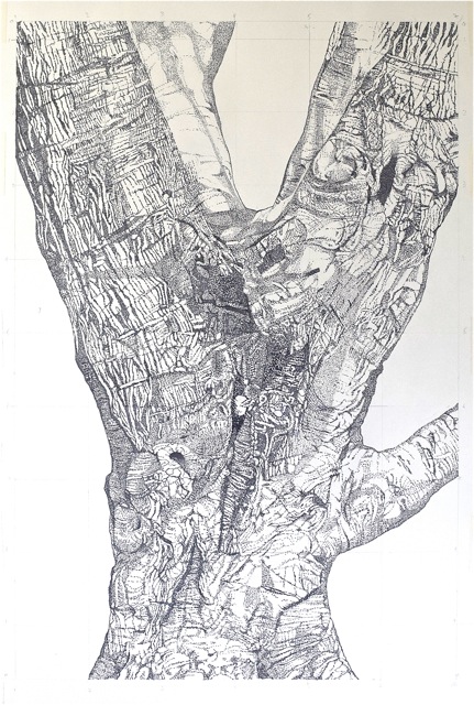 Large Bark 21