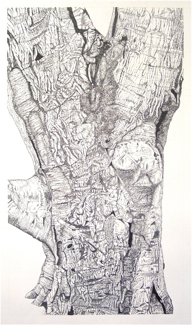Large Bark 22