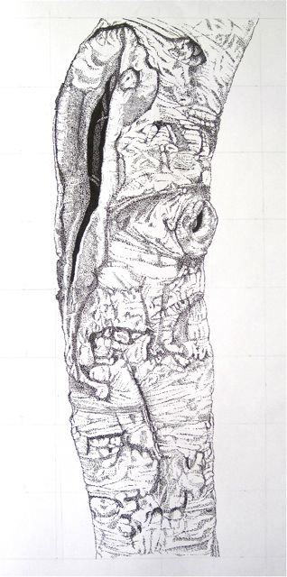 Large Bark 3