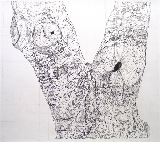 Large Bark 6