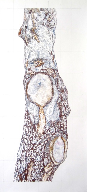 Large Bark 7