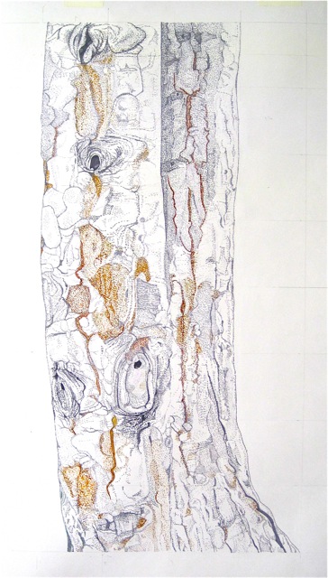 Large Bark 8