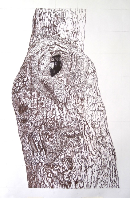 Large Bark 9