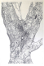 Large Bark 21