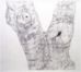 Large Bark 6