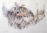 Renoir's Beard